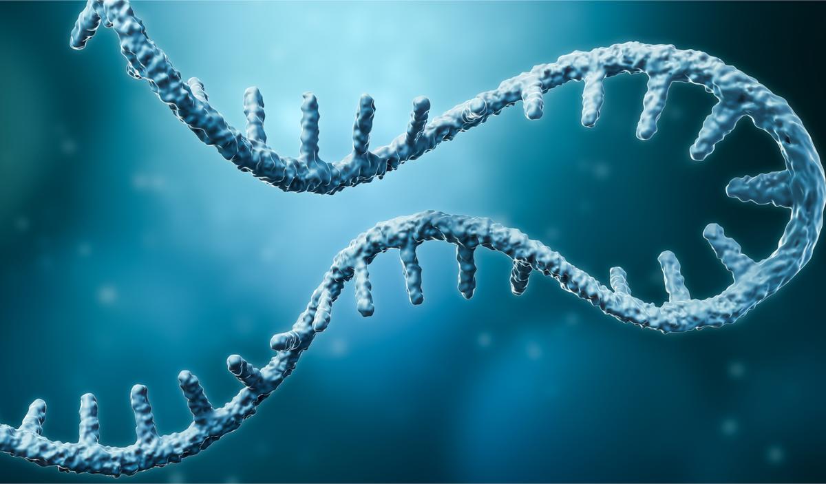 Are the COVID mRNA Vaccines Safe?