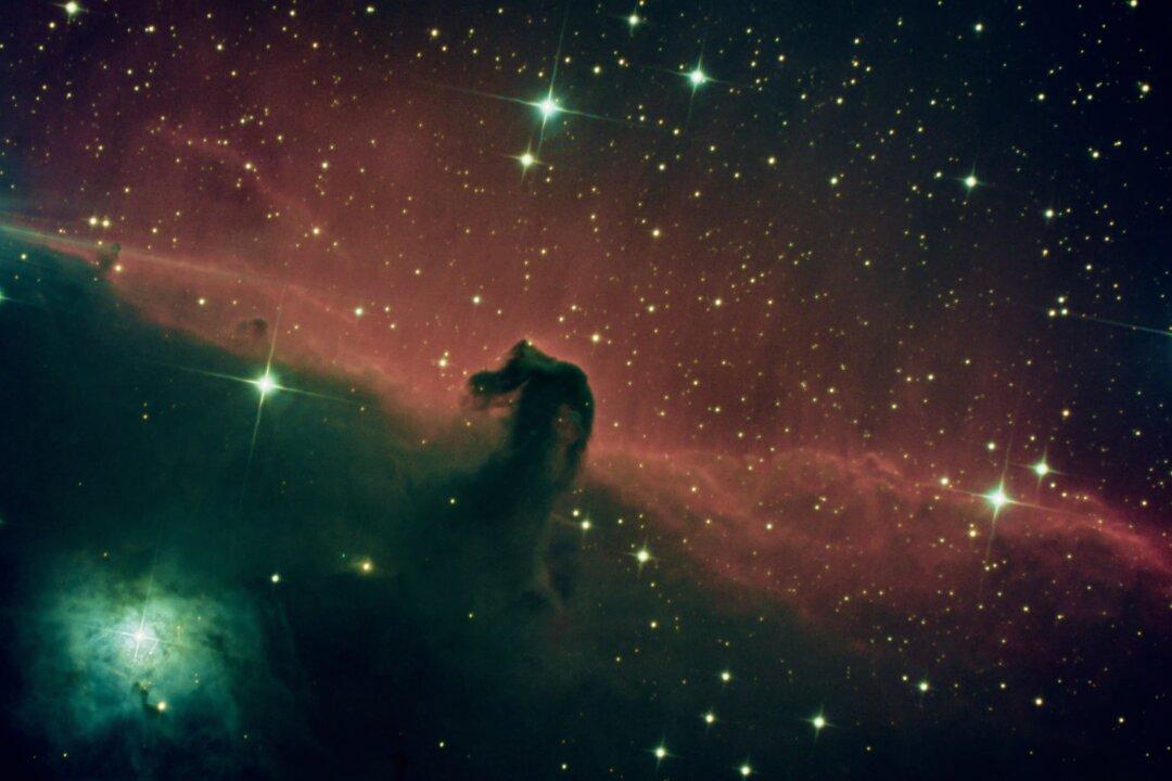 Amateur Astronomy Gains Fans Who Bond Through Their Shared Love of the Starry Night