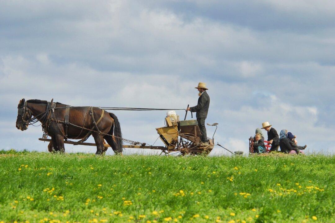 6 Things I’ve Learned From the Amish