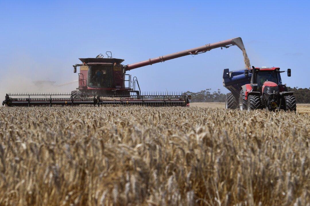 CCP Trade Sanctions Caused Almost No Ripples Across Australian Economy