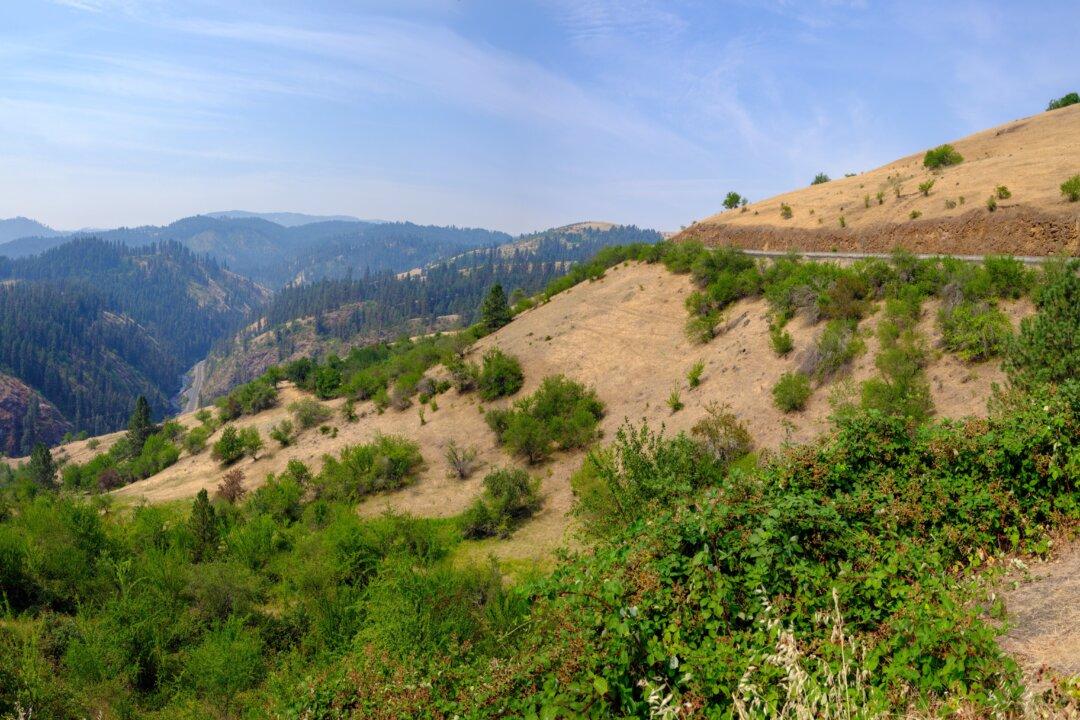 Are You an Outdoors Enthusiast? Organization Needs Your Help to Preserve Idaho Trails