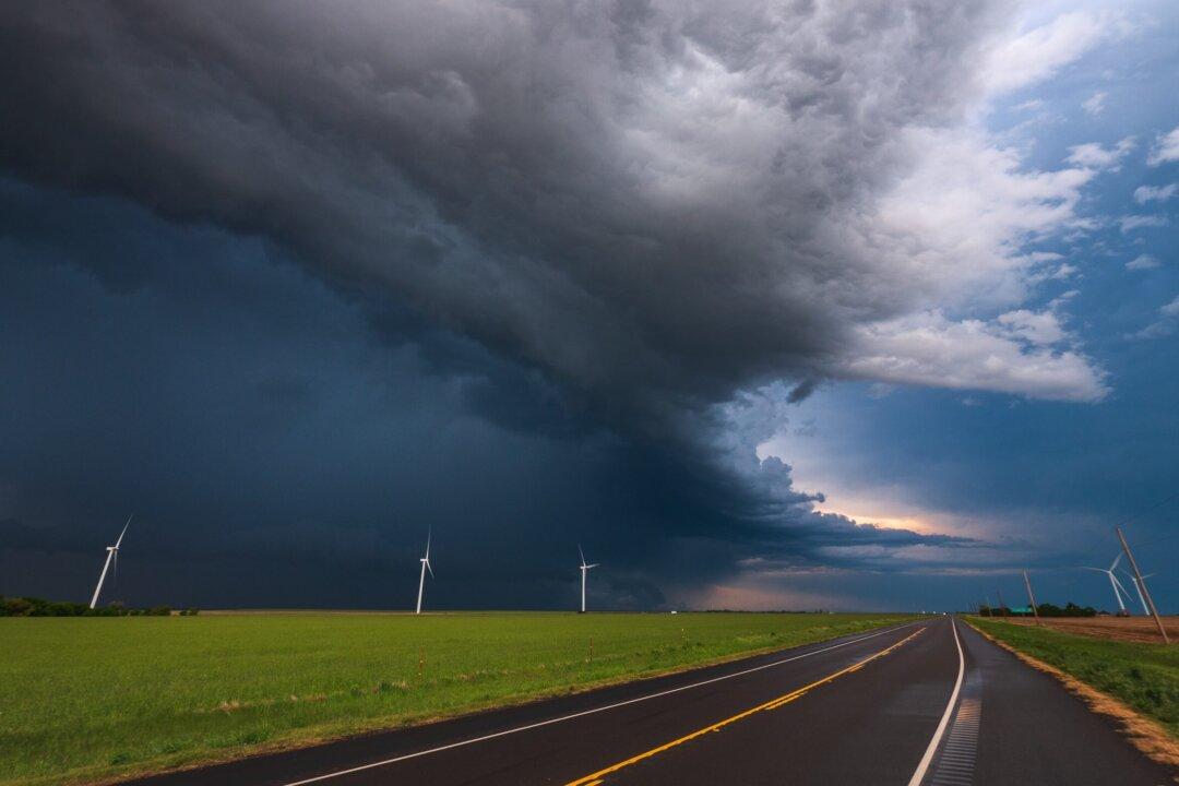 The Progressive Road to Serfdom