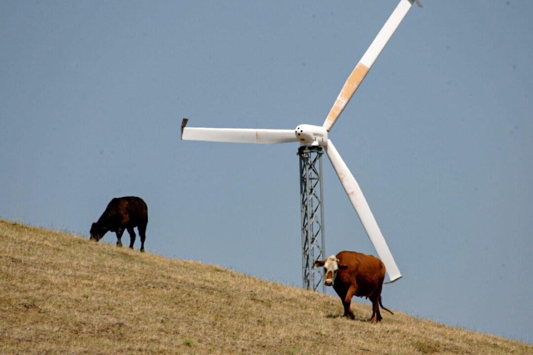 Businesses Yet to Fully Grasp China Supply Chain Risk Amid Net-Zero Push: Energy Lawyer