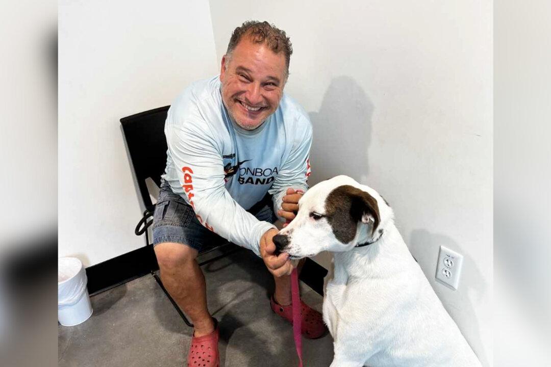 ‘Perfect Match’: Dog Given Up for Being Deaf Finds Forever Home With Hearing Impaired Man