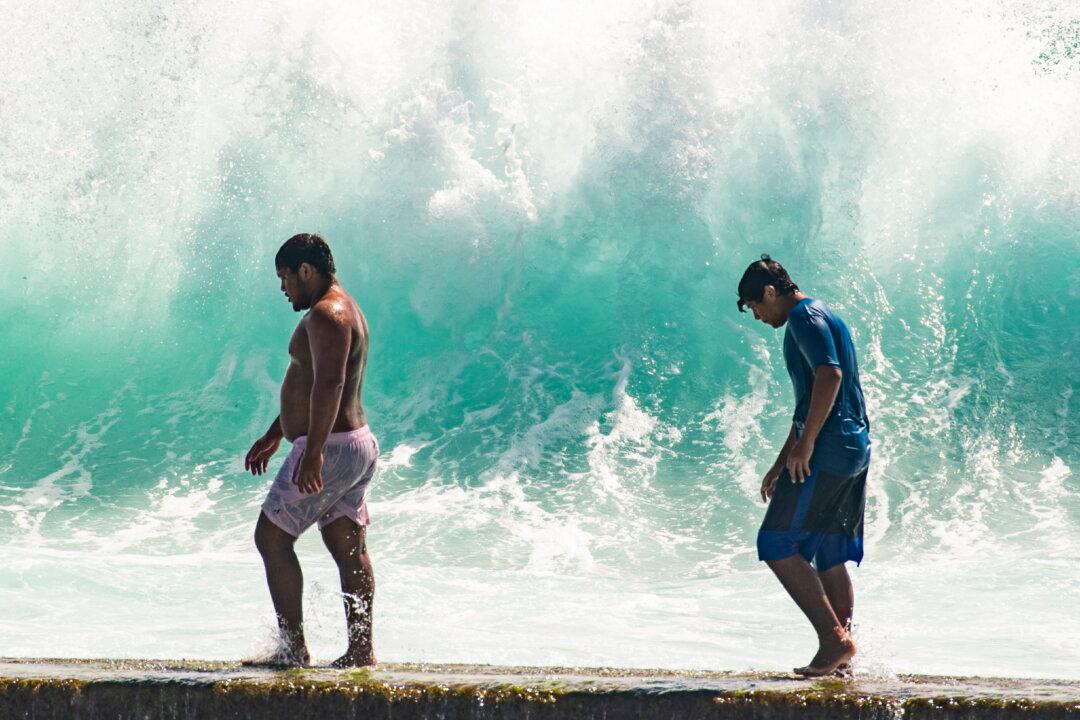 Hawaii Waves Swamp Homes, Weddings During ‘Historic’ Swell