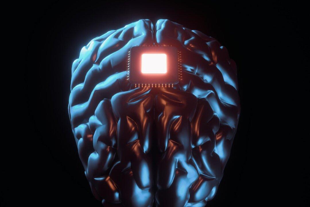 Elon Musk’s Brain-Chip Company Neuralink Gets Overtaken in US by Australian Startup