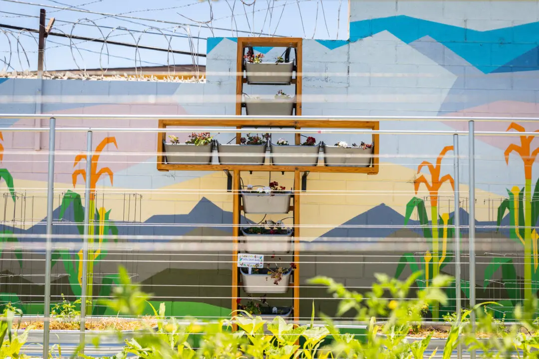 Wisconsin Supreme Court Backs Catholic Charities in Rights Battle