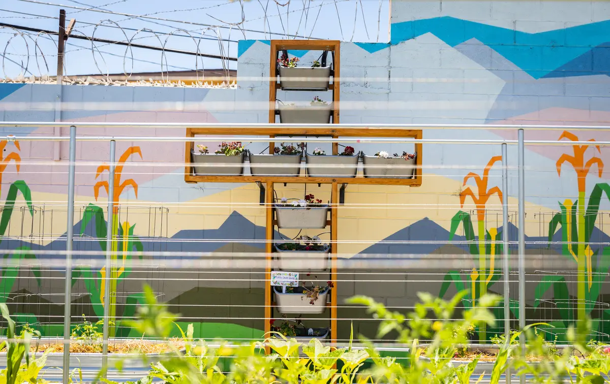 Wisconsin Supreme Court Backs Catholic Charities in Rights Battle thumbnail