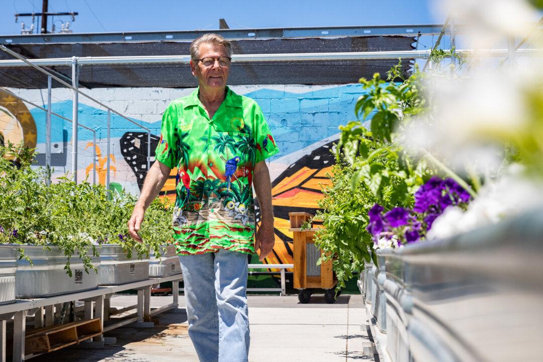 Garden in the Rough: OC Charity Adds Fresh Produce to Food Pantry