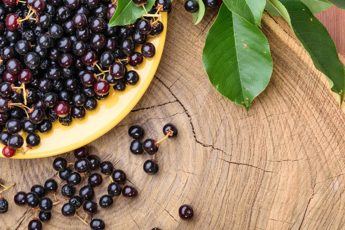 Get Relief From Irritated and Dry Eyes With This Berry Extract