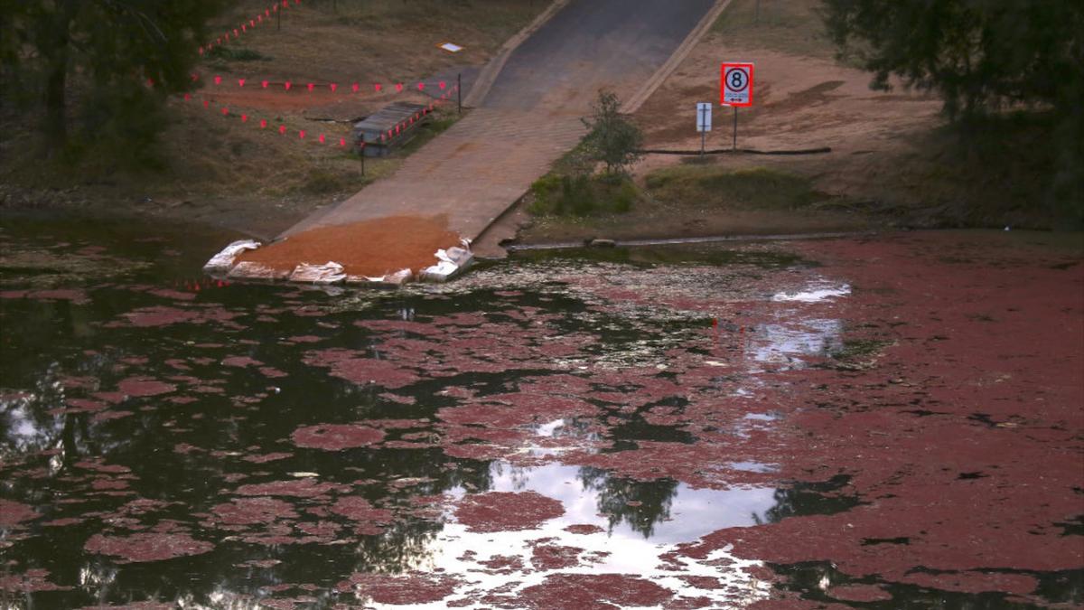 Australian Regional City’s Water Supply Undrinkable as Works to Drain Contamination Continue