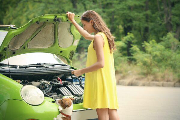 If purchasing a vehicle from a private seller, have a mechanic do a diagnostic. (Africa Studio/Shutterstock)