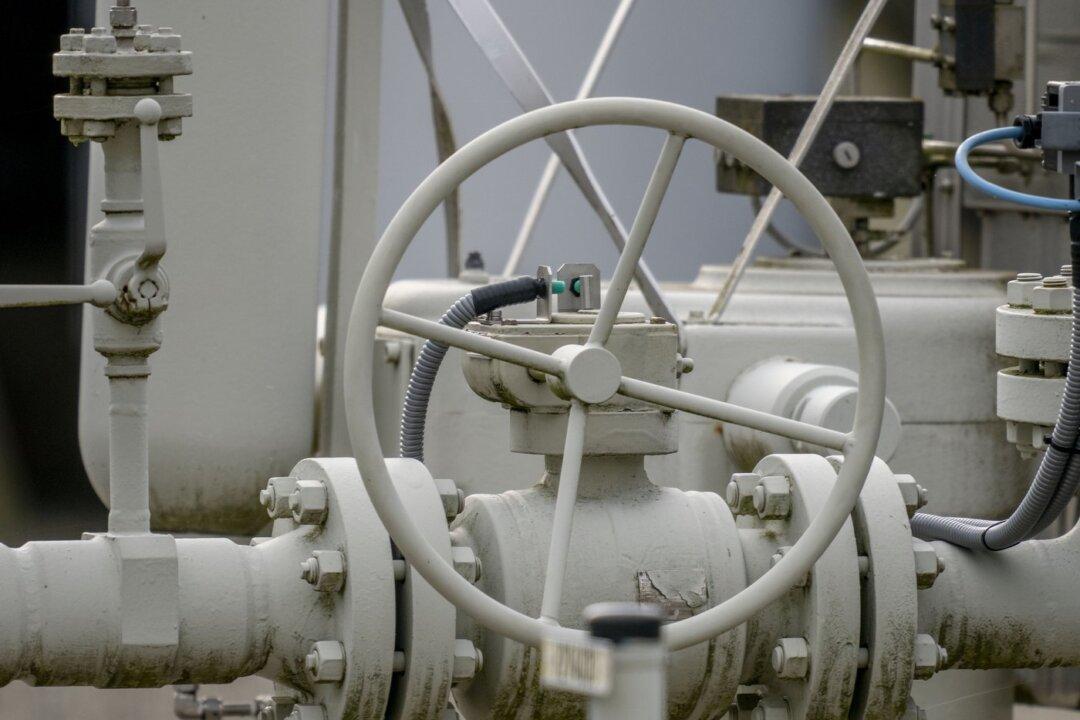 Trudeau, Zelenskyy Talk Turbines as Ukrainian Supporters Ready to Protest