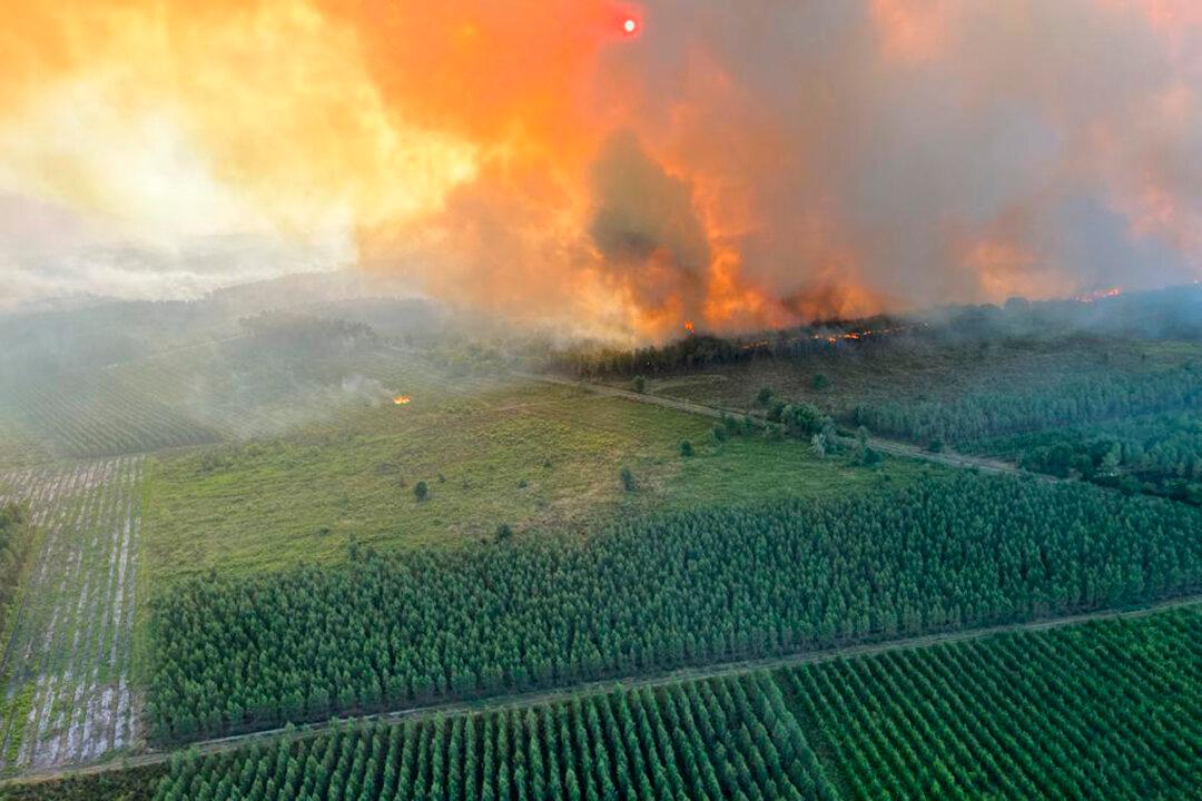 France, Spain Fight Spreading Wildfires as Europe Swelters