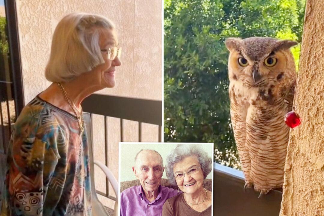 VIDEO: Chatty Owl Visits 98-Year-Old Grandma Daily; Family Thinks It’s a Sign From Late Grandpa