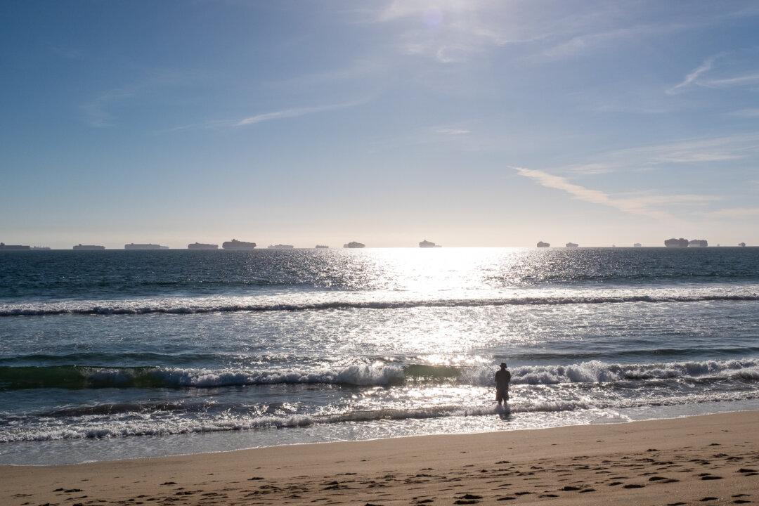 Shark Sighting Leads to Temporary Huntington Beach Closure