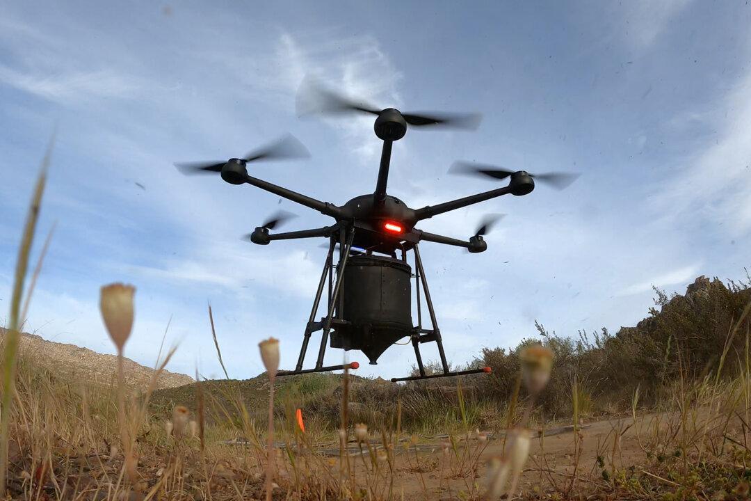 Drones Plant Millions of Trees in Australia’s Biggest Botanical Garden