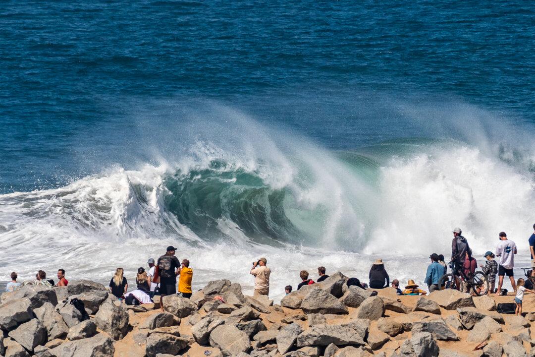 Newport Planning Commissioner Lauren Kleiman Seeks Spot on City Council