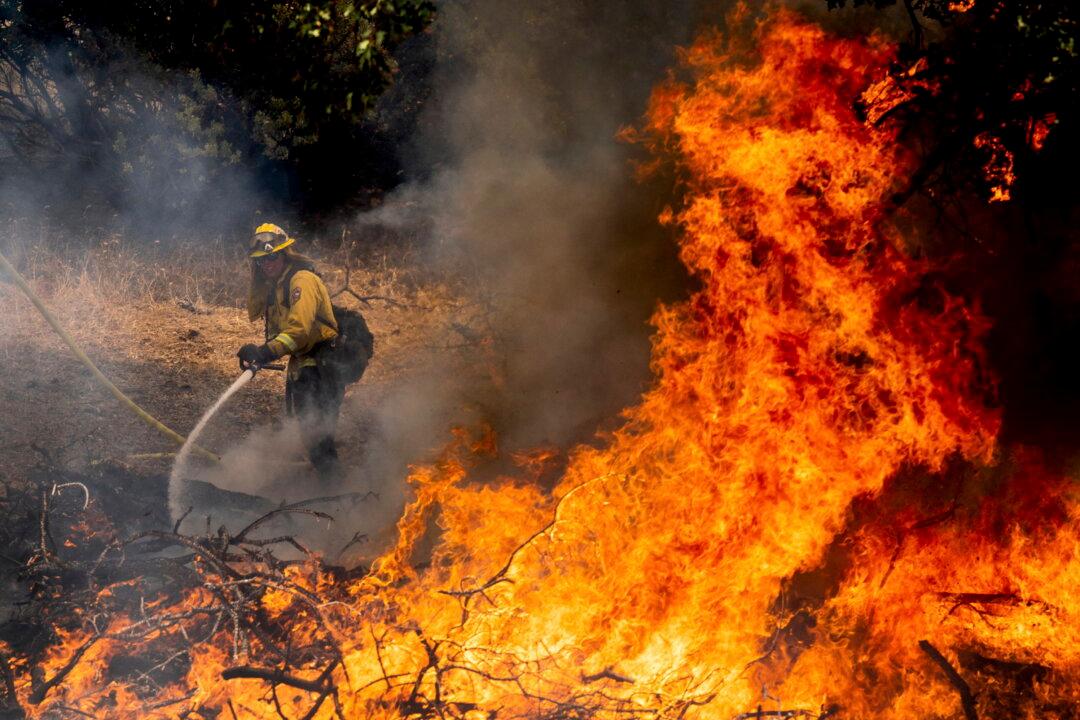 Study of Wildfire Smoke’s Long-Term Effects Makes California Blazes Look Even More Deadly