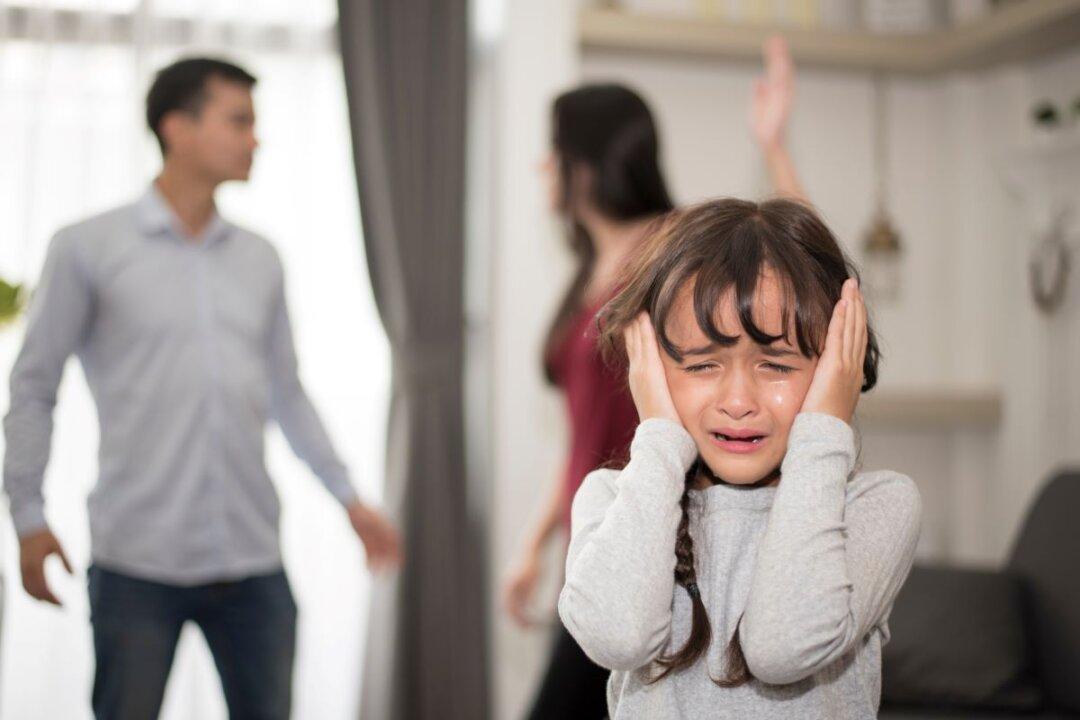 Family Violence Reform for Survivors in Australian State