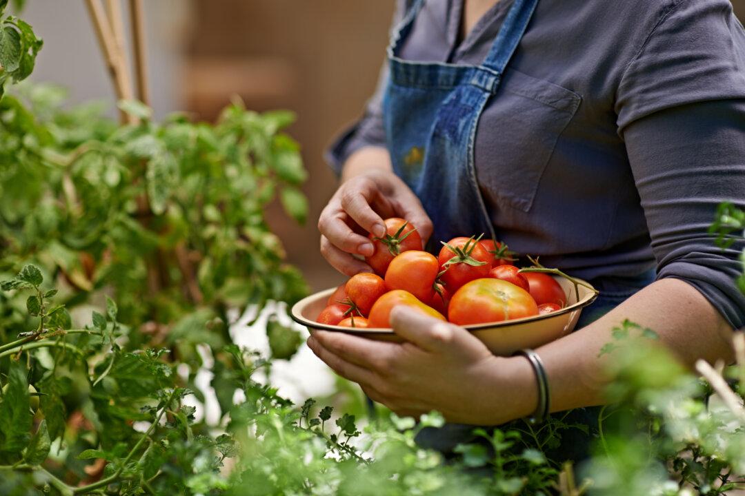 How to Grow 4,400 Pounds of Food a Year in the Backyard