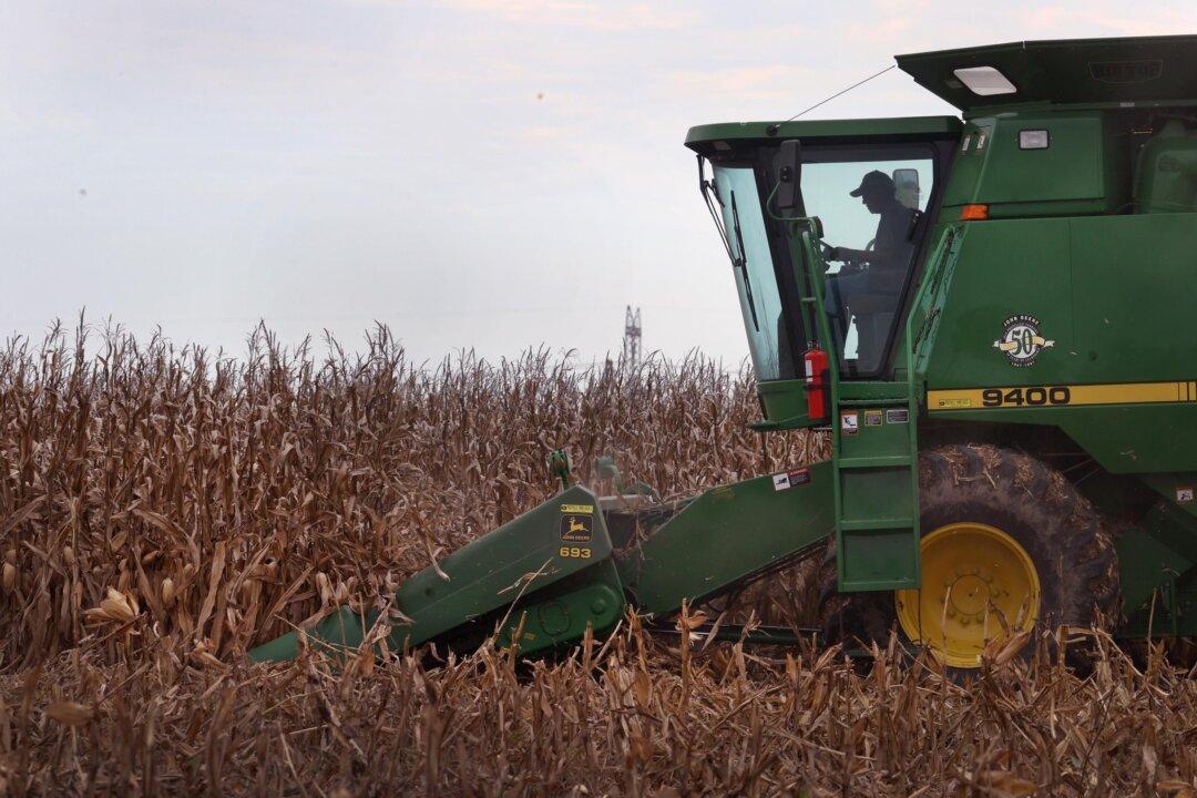 Food More Expensive, But Shortage Unlikely Amid Solid Harvest Expectations