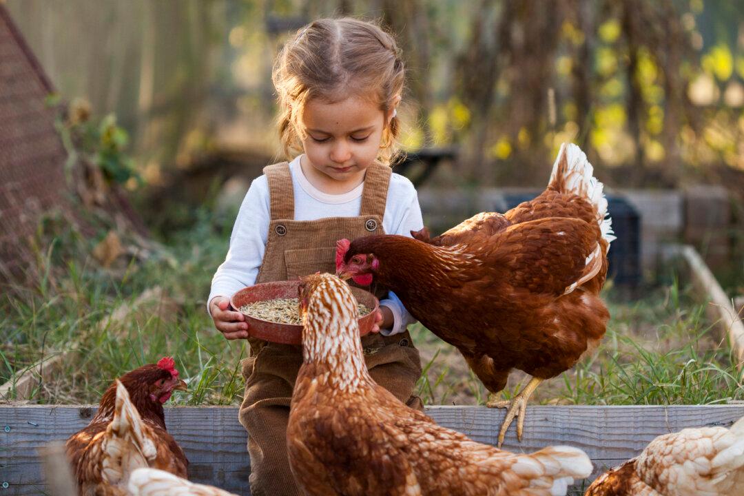 7 Fun Summer Businesses for Kids