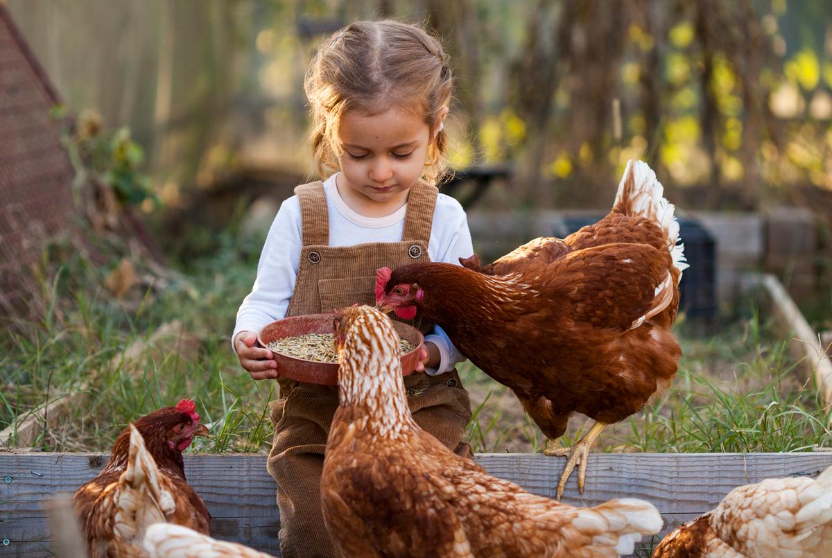 7 Fun Summer Businesses for Kids