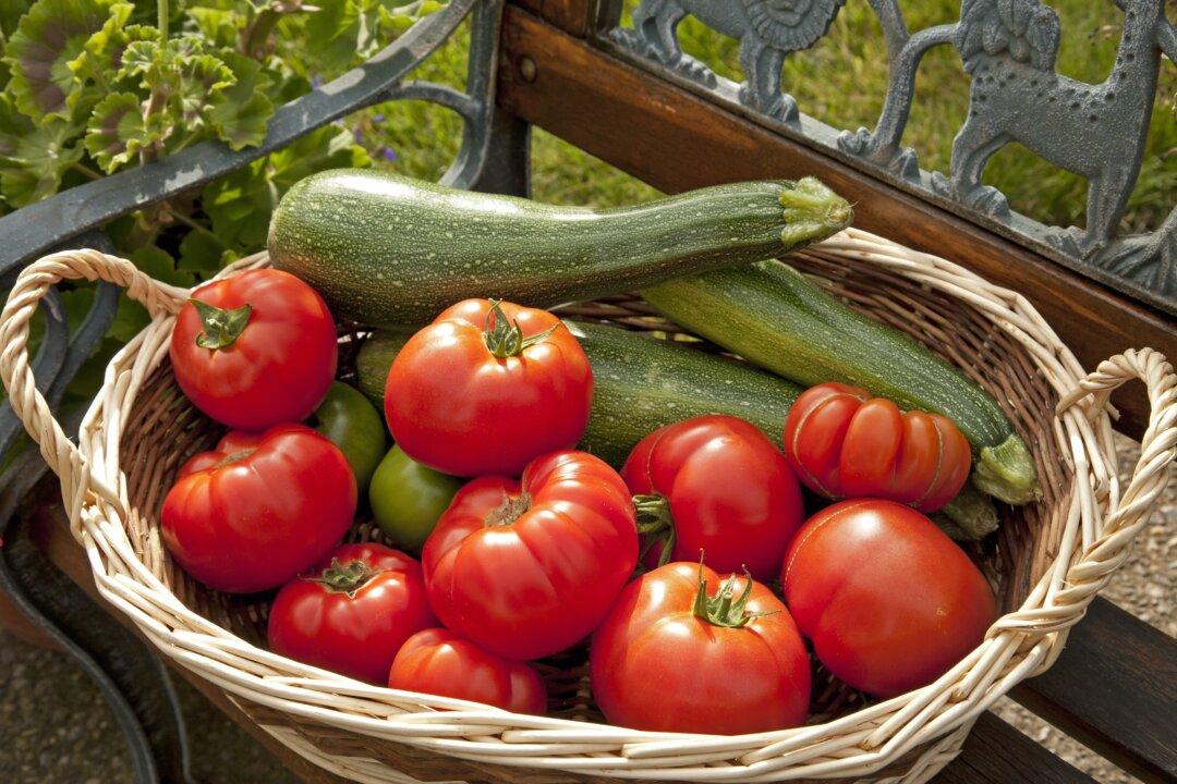 Savory Sage Chicken with Zucchini and Tomato Rice