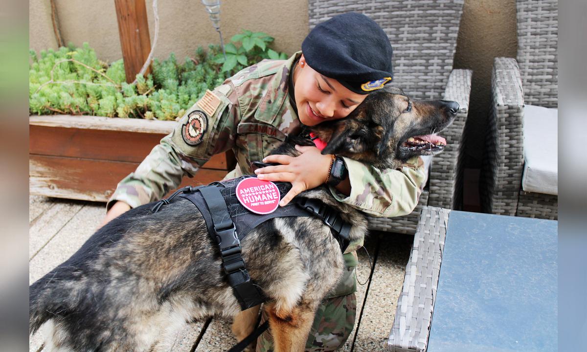 Retired Military Dog Gets Forever Loving Home With Former Handler After Near-Fatal Incident