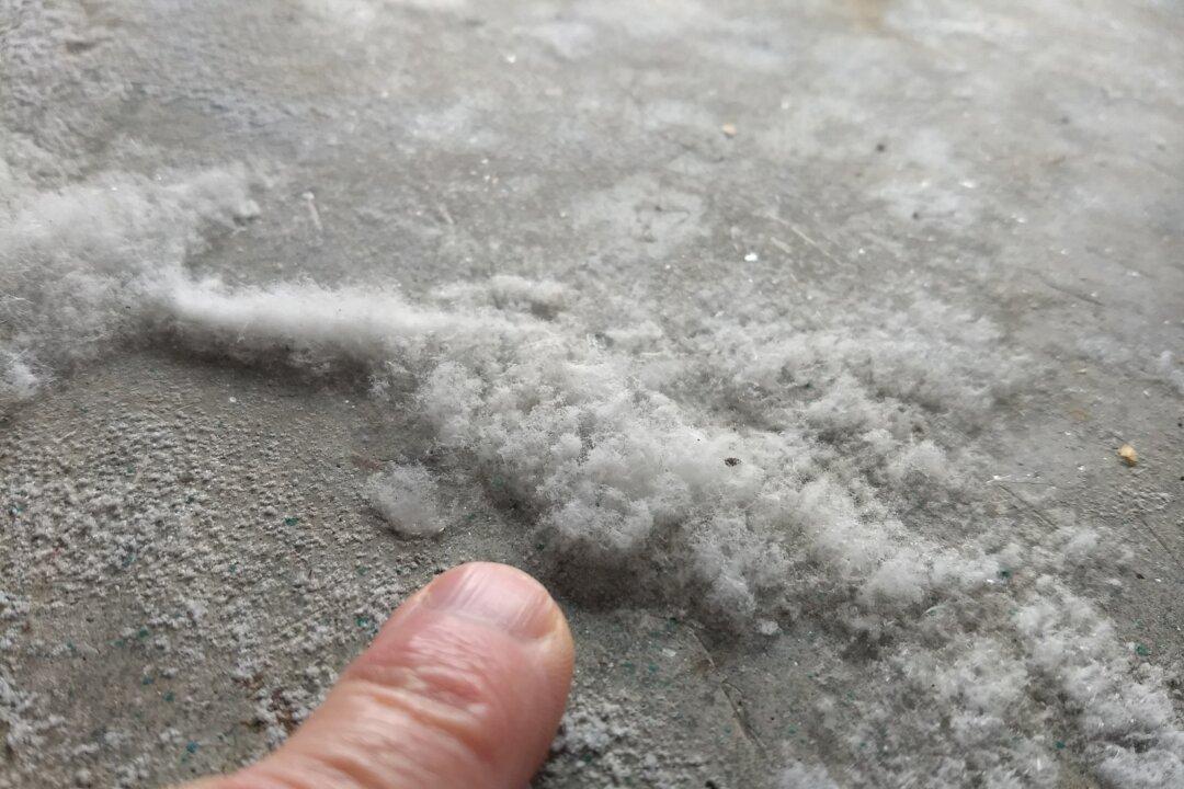 Fluffy Salt Crystals Are Not Mold
