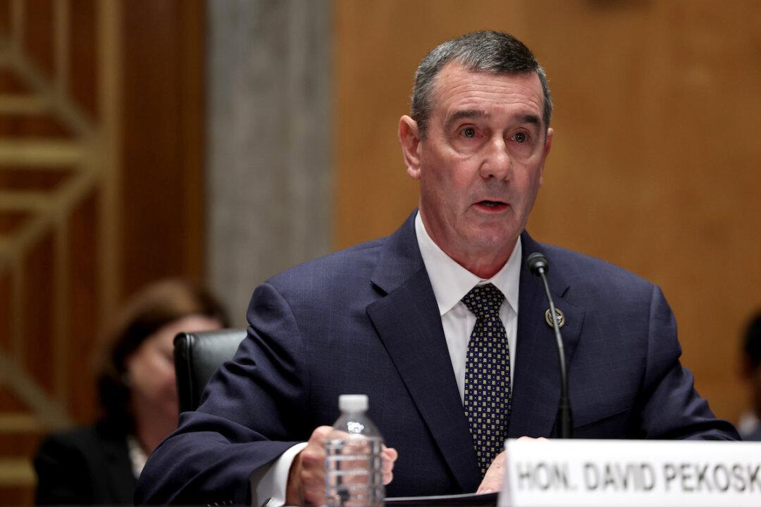 ‘Under 1,000’ Illegal Aliens Used Arrest Warrants as ID to Board US Flights: TSA Chief