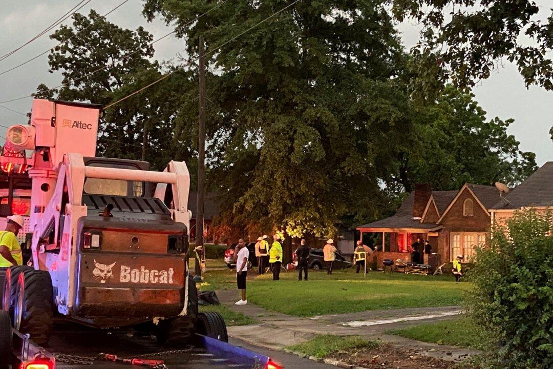 2 Babies Killed as Tree Falls in Alabama, 1 Dead in Maine