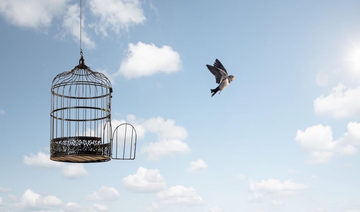 Are We Free By Right or Not?