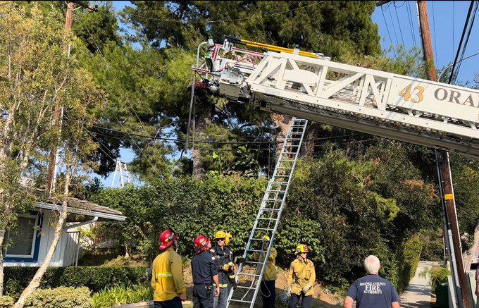 Landscaper in Critical Condition After Being Shocked by Power Line in Tustin