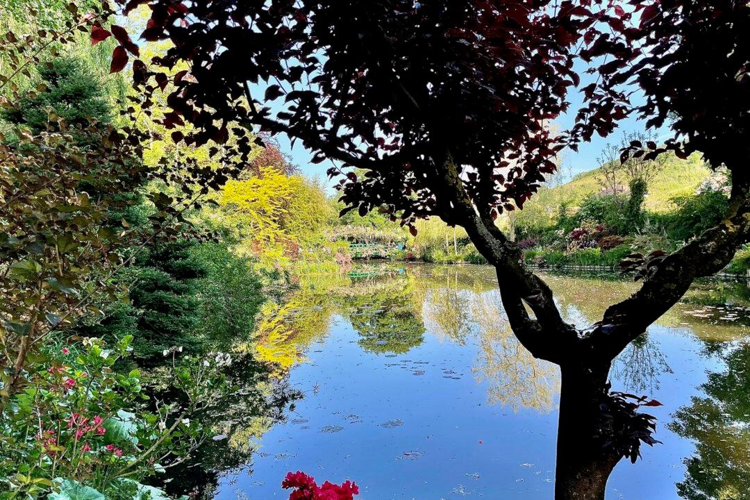 French Riverboat Tour Was Worth the Pandemic Wait