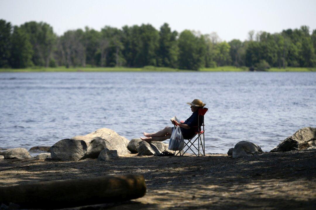 John Robson: Let’s Leave Literary Pomposity to the Deer Flies