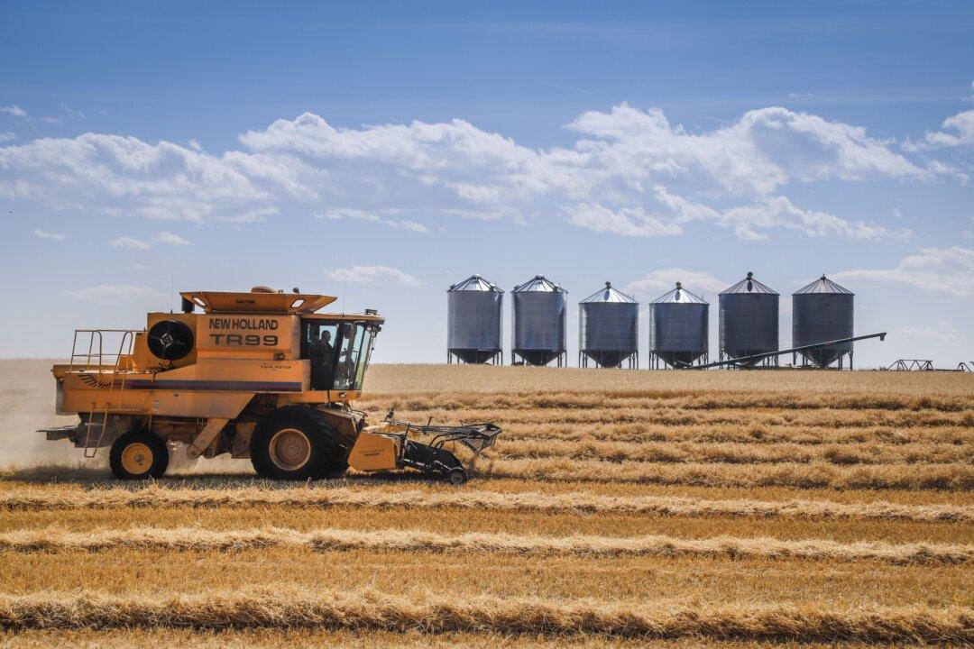 35% of Canadian Farms Face Labour Shortages: Report