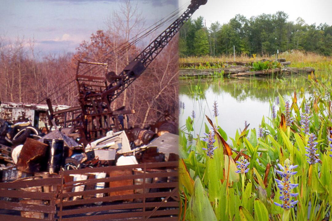 Ecologists Hail 25-Year Overhaul That Transforms 50-Acre Toxic Trash Dump Into Flourishing National Park