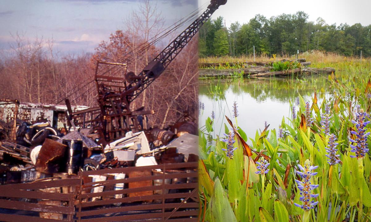 Ecologists Hail 25-Year Overhaul That Transforms 50-Acre Toxic Trash Dump Into Flourishing National Park