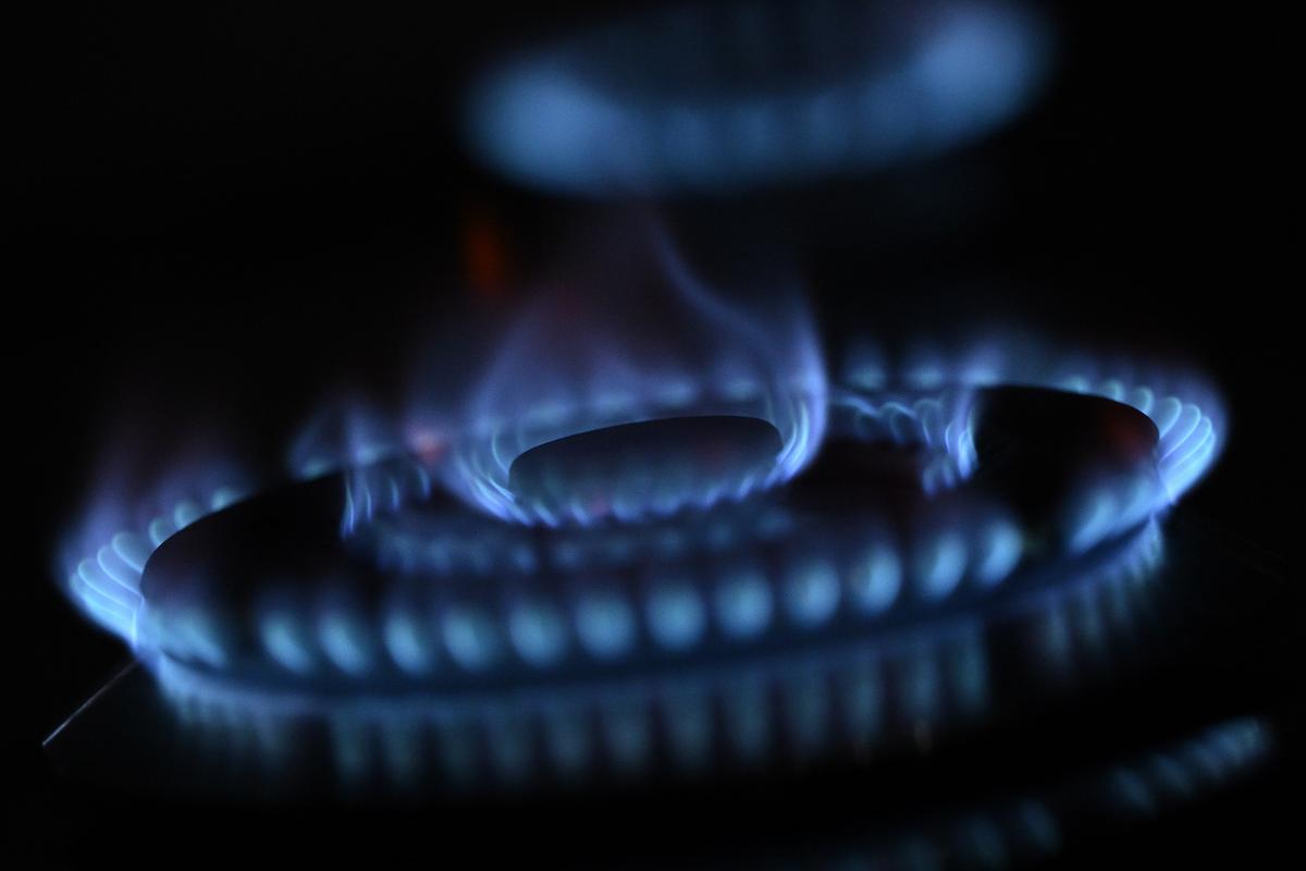 Biden Administration’s Proposed Gas Stove Regulation May Violate Law, Expert Testifies