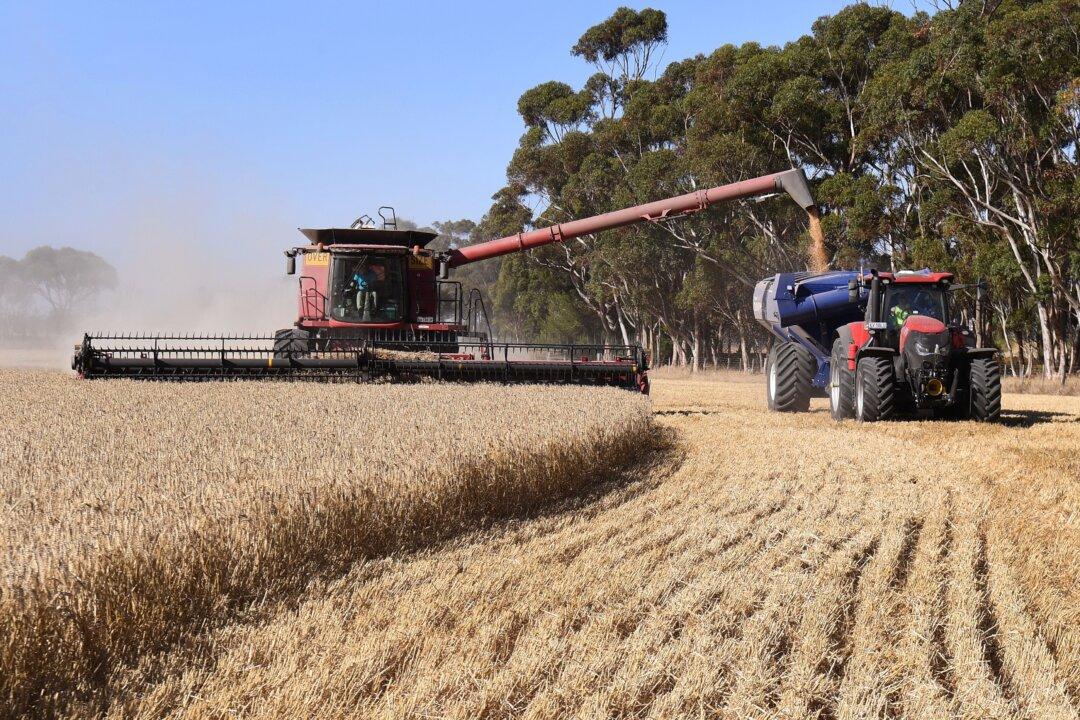 Australia in Talks With Brazil for Agricultural Trade Agreements