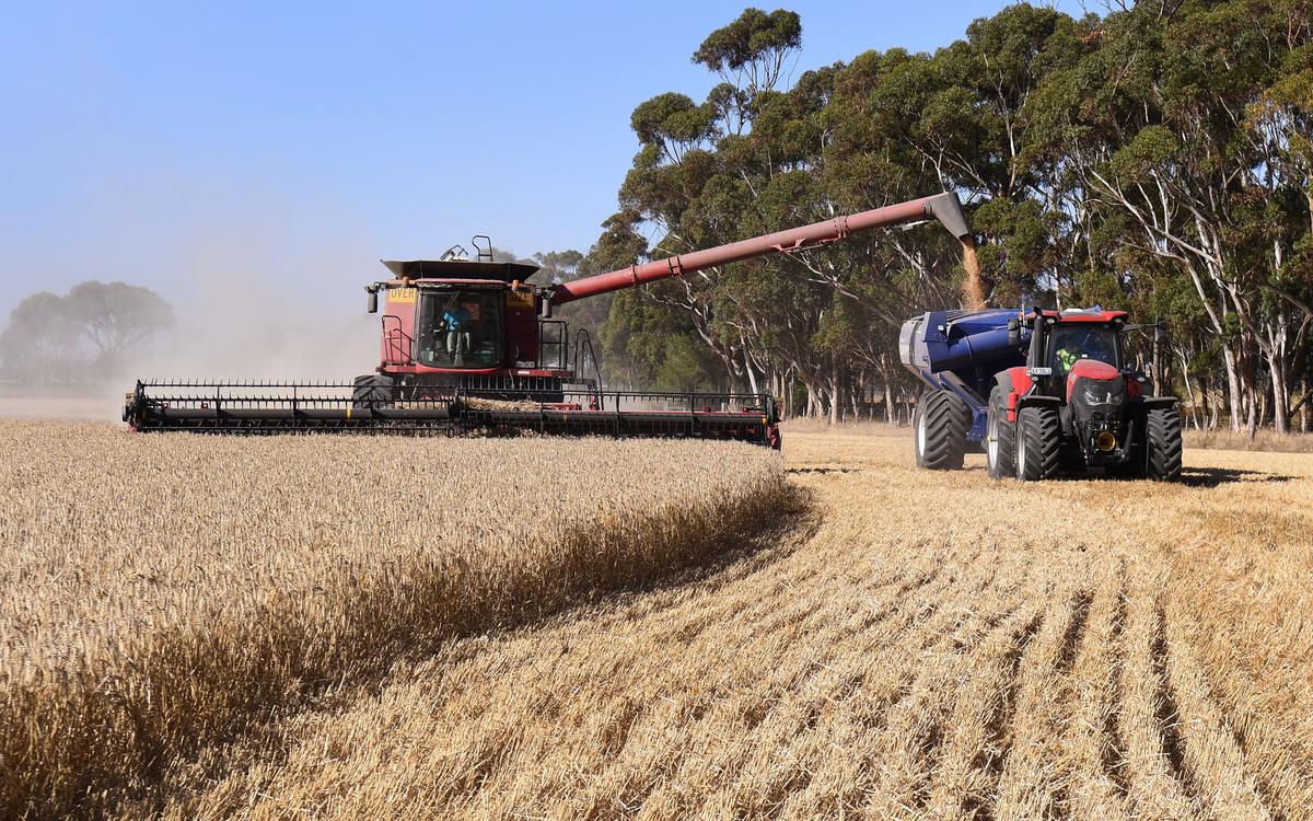 Record Production Brings Huge Gains to Australian Agriculture in 2020-2021