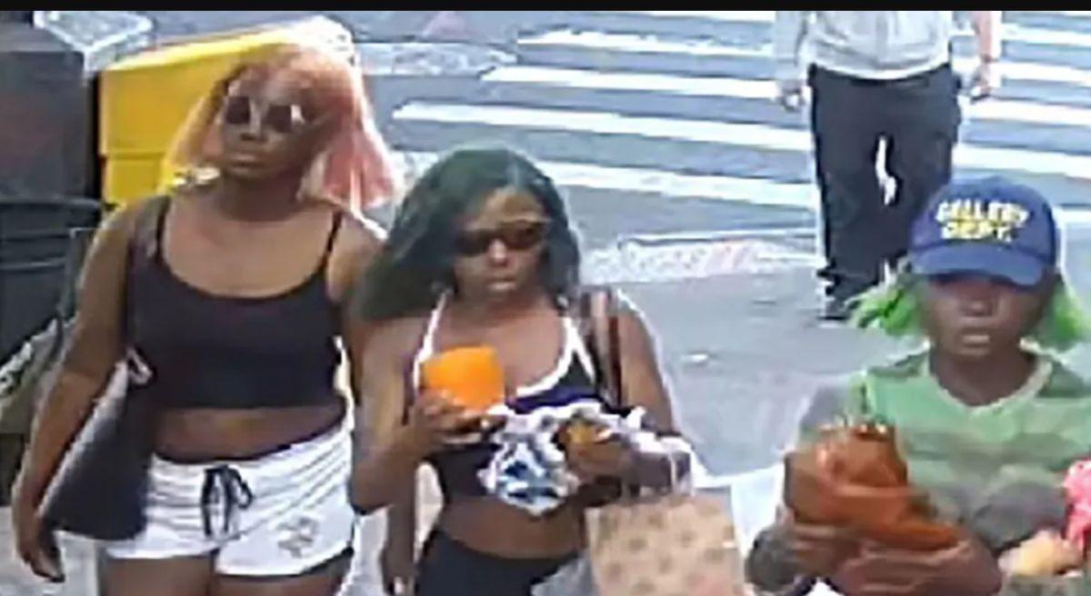 Teen Girls Arrested on Hate Crime Charges for Anti-White Attack in NYC