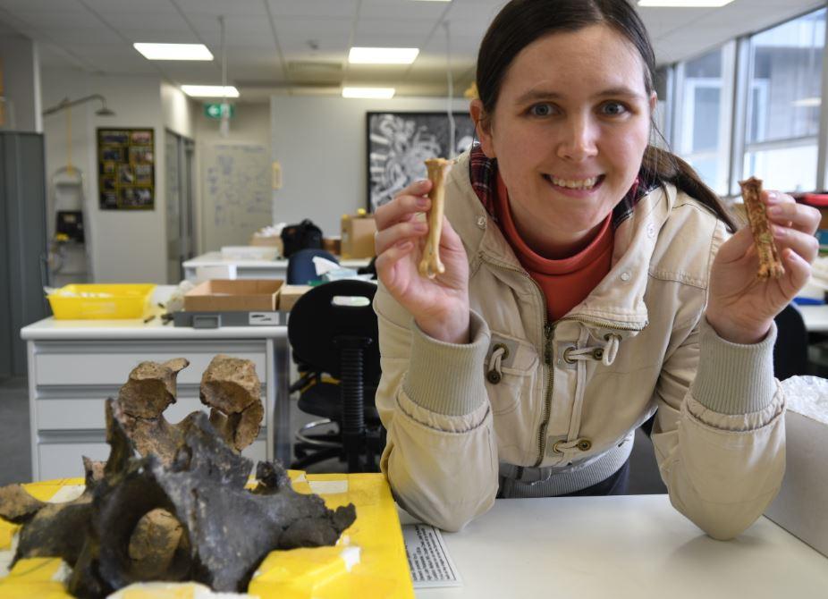 Ancient Bird Species Unearthed More Than a Century After Excavation
