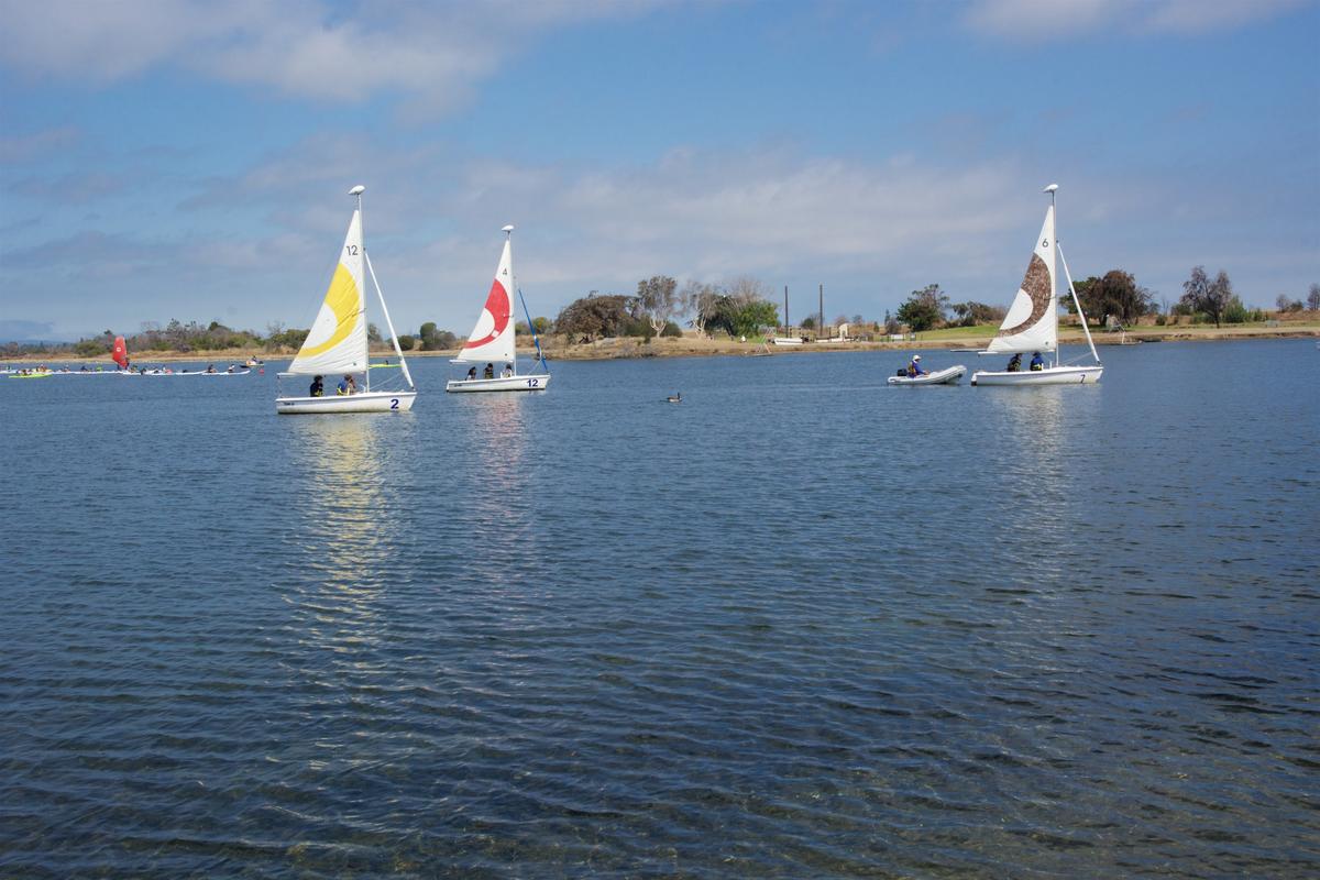 Nature Abounds at This Manmade Park in Silicon Valley