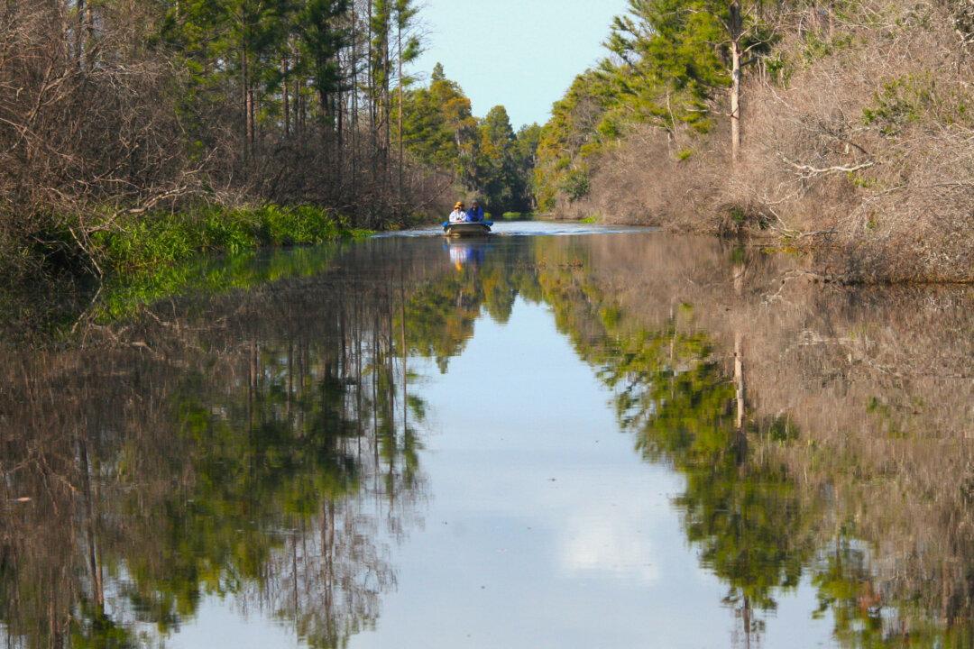 Okefenokee Swamp Lures You in With Its Peaceful, Haunting Beauty
