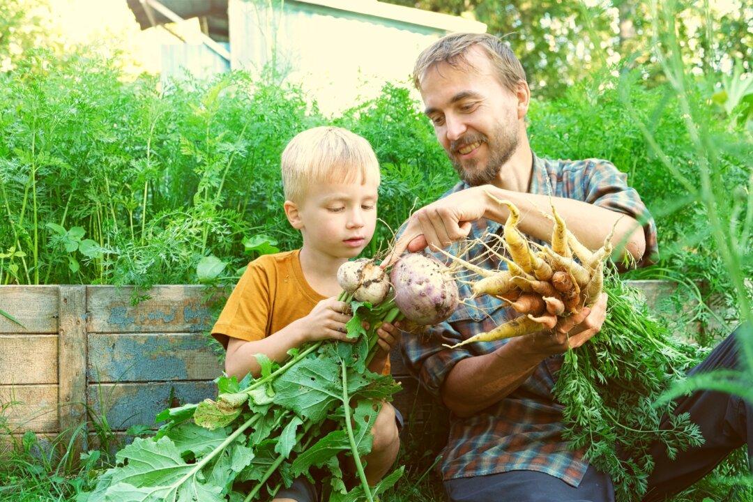 Thinking Mini: How to Make the Most of a Small Garden Space