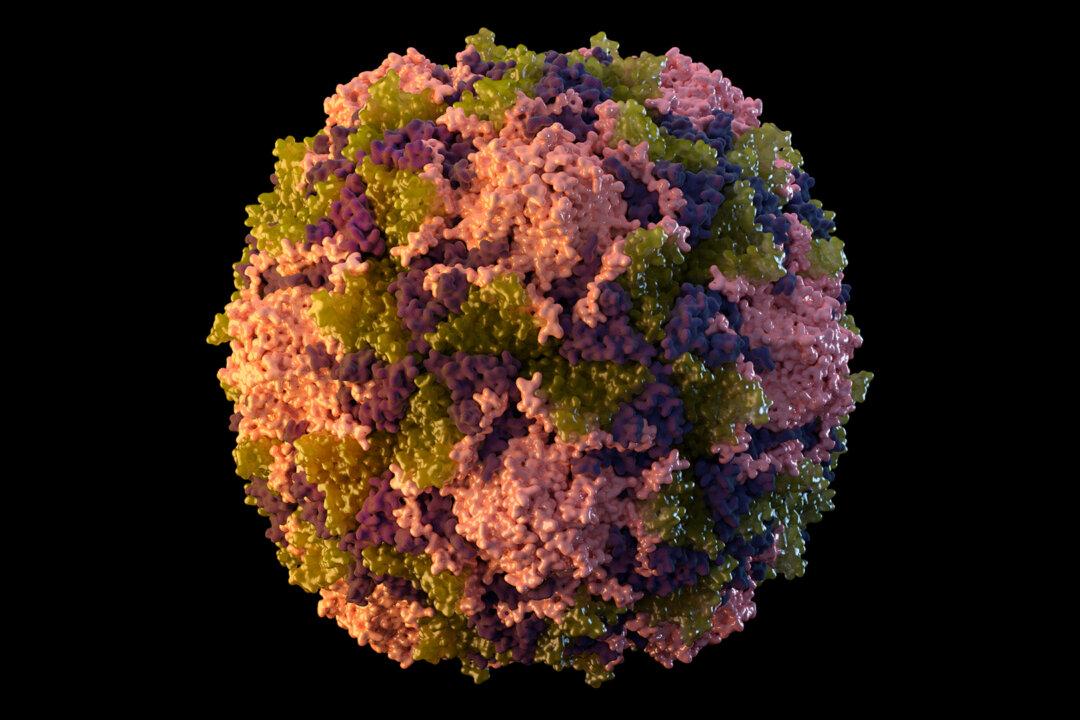 Experts Call for Australia-Wide Polio Testing