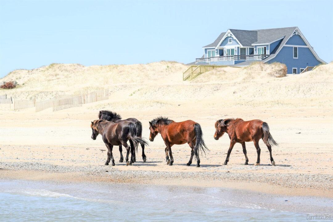 Take an Adventure Vacation in the Outer Banks, North Carolina
